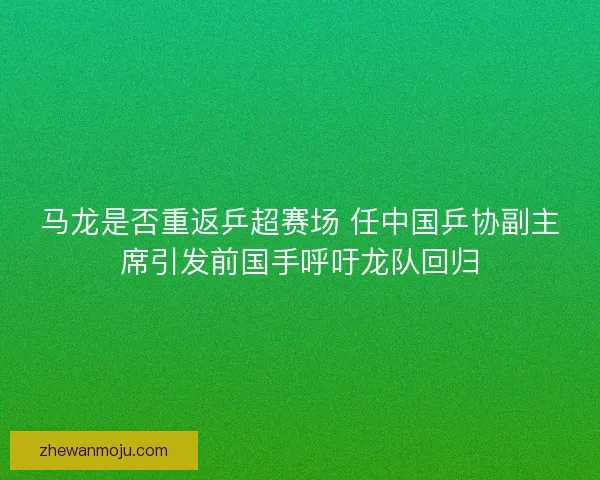 马龙是否重返乒超赛场 任中国乒协副主席引发前国手呼吁龙队回归