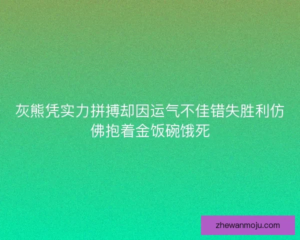 灰熊凭实力拼搏却因运气不佳错失胜利仿佛抱着金饭碗饿死