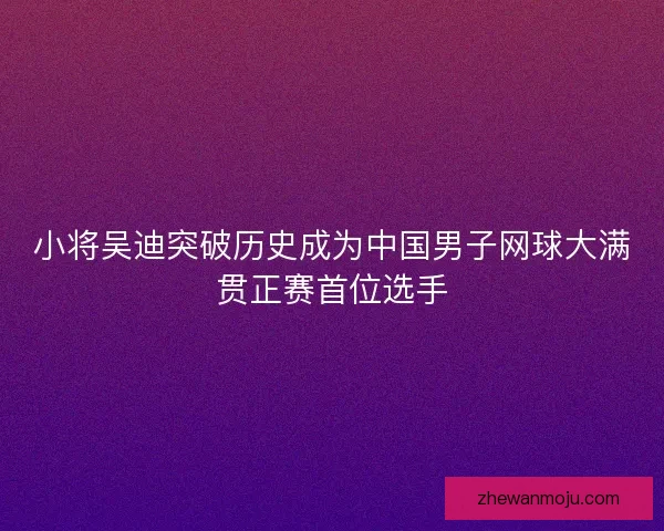 小将吴迪突破历史成为中国男子网球大满贯正赛首位选手