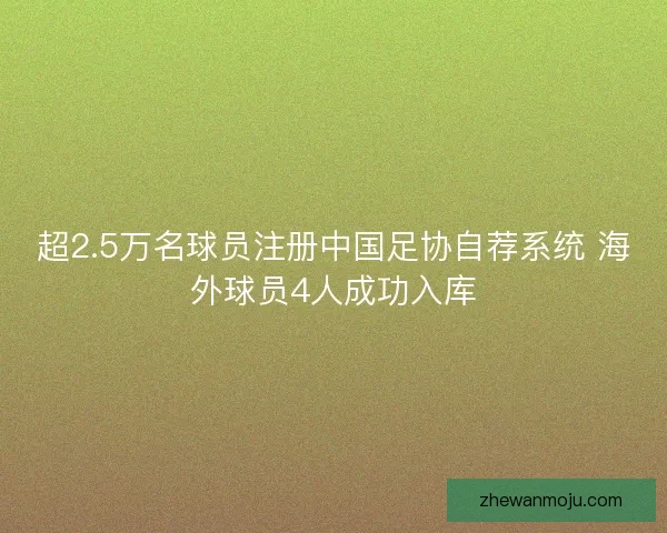 超2.5万名球员注册中国足协自荐系统 海外球员4人成功入库