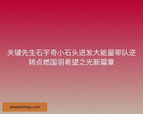 关键先生石宇奇小石头迸发大能量带队逆转点燃国羽希望之光新篇章