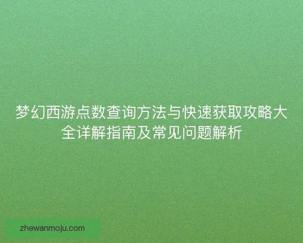 梦幻西游点数查询方法与快速获取攻略大全详解指南及常见问题解析