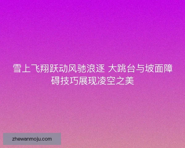 雪上飞翔跃动风驰浪逐 大跳台与坡面障碍技巧展现凌空之美
